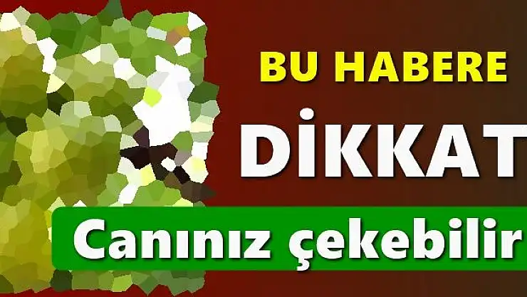 Bu mevsimde olur mu demeyin