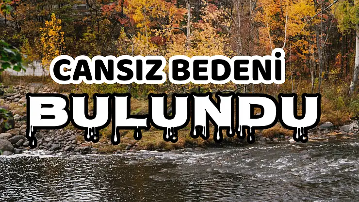 Cansız bedeni bulundu