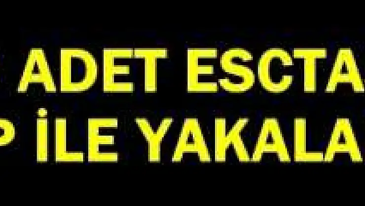 Cide'de Uyuşturucu Hap Ele Geçirildi