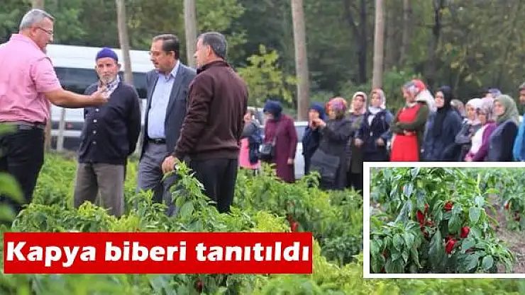 Çiftçilere Kapya Biberi Tanıtıldı