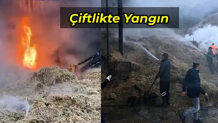 Çiftlikte korkutan yangın