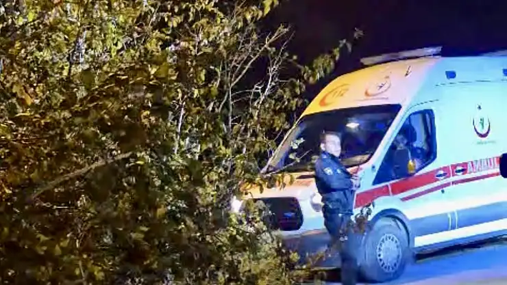 Çığlık ihbarı polisleri harekete geçirdi