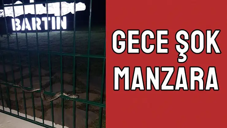Çocuklar görünce çığlık attı