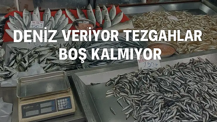 Deniz veriyor, tezgahlar boş kalmıyor