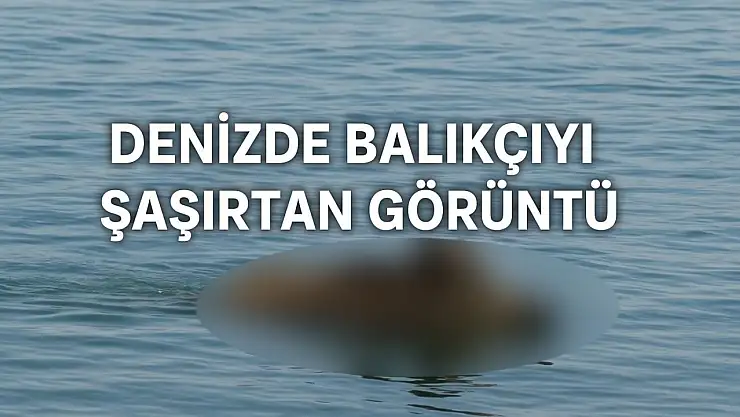 Denizde balıkçıyı şaşırtan görüntü