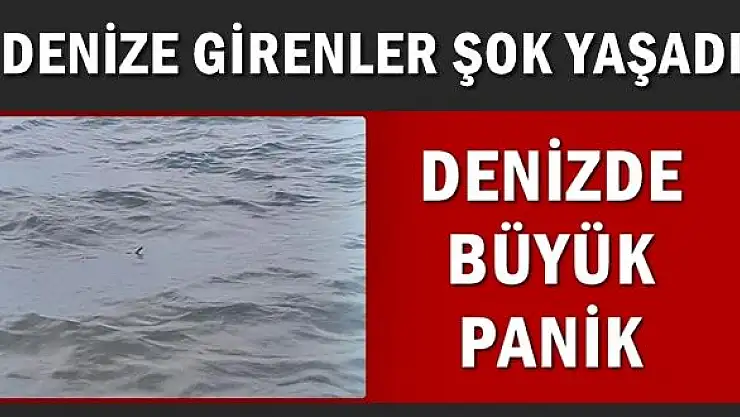 Denize girenler şok oldu, sahilde panik