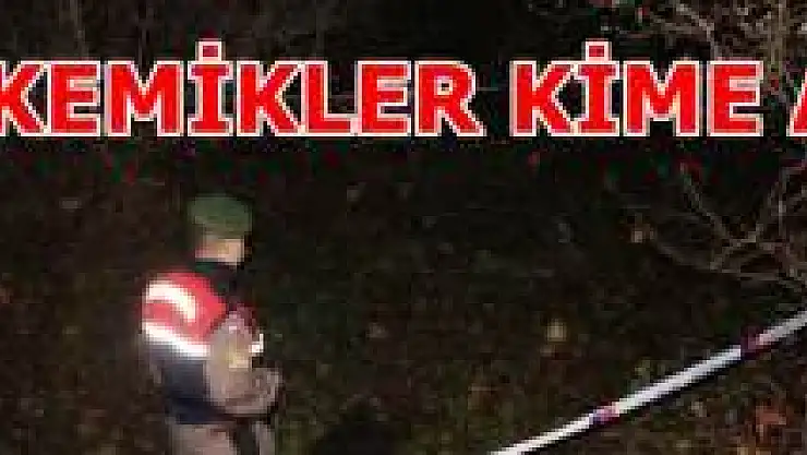 Dere kenarında insan kemikleri bulundu