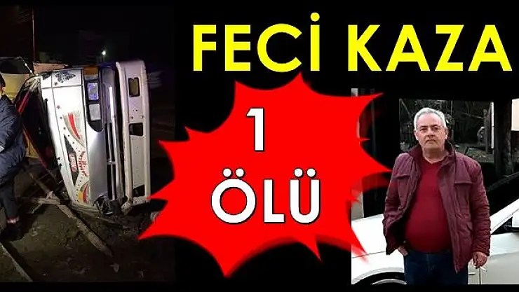 Direğe Çarpan Kamyonet Sürücüsü Öldü