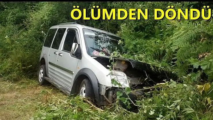 Direksiyon başında uyuyunca yoldan çıktı
