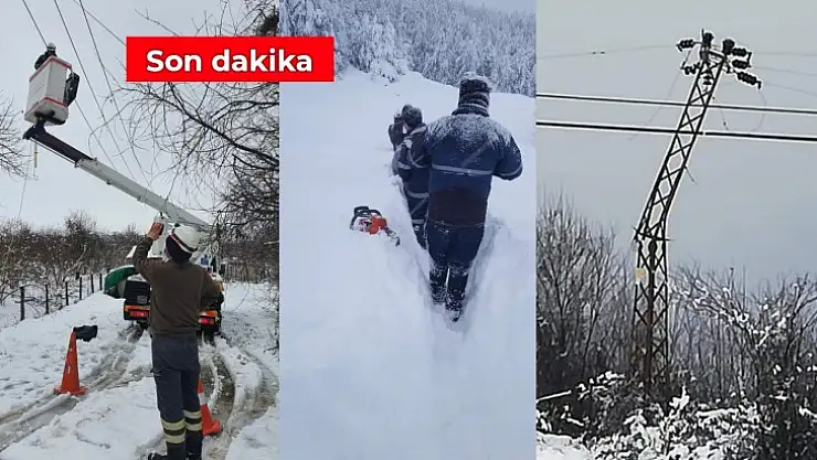 Elektriksiz kalan köy sayısı belli oldu