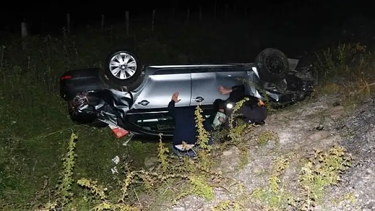 Eşeklere çarpan otomobil  takla attı, 2 yaralı