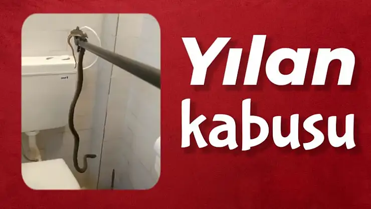 Eve girdi, bakın nerede yakalandı