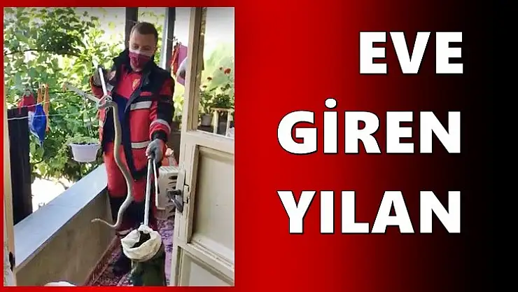 Eve giren yılan paniğe neden oldu