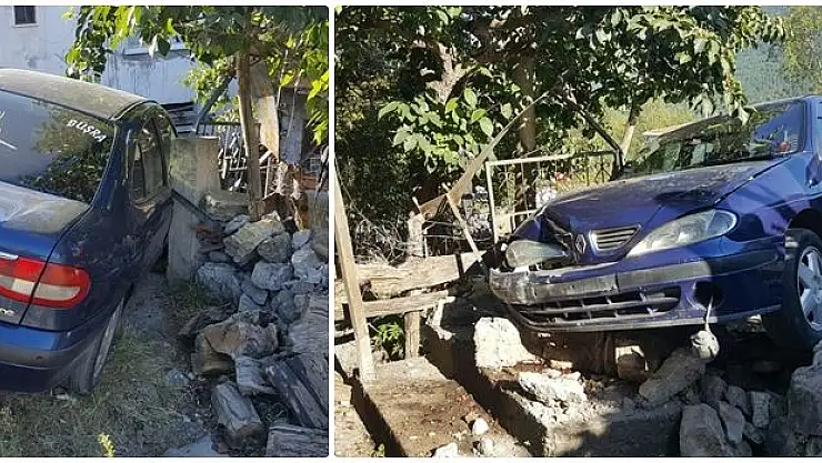 Evin bahçesinde davetsiz misafir 