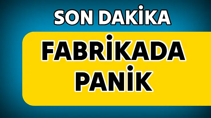 Fabrikada işçiler hastanelik oldu