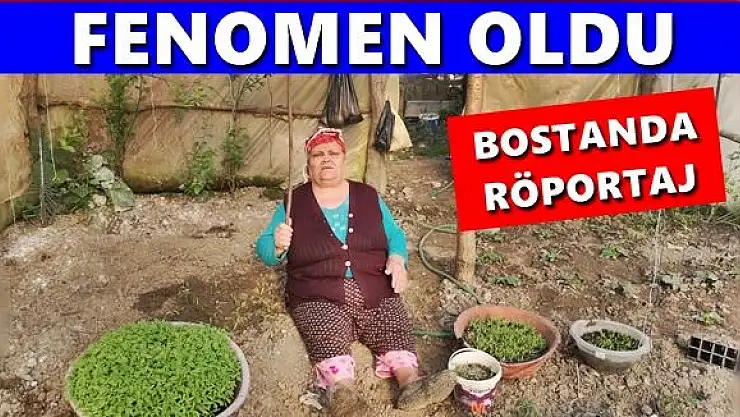 Fenomen olan Nazmiye teyze ile bostanda röportaj