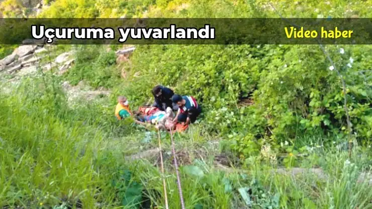 Fındık bahçesinde uçuruma yuvarlandı