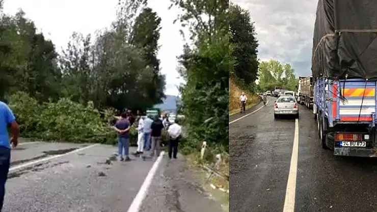 Fırtınada ağaç devrildi, yol kapandı