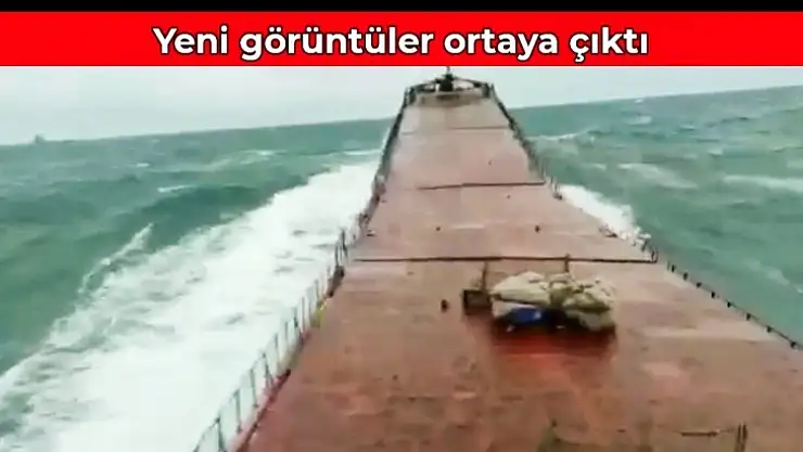 Geminin ikiye bölündüğü anları çekti