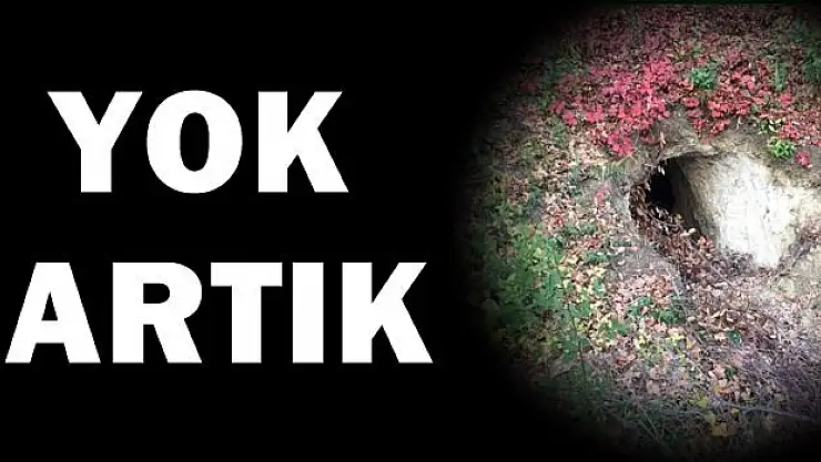 Görenler hayrete düştü