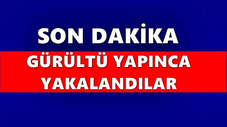 Gürültü yapılan evde misafir yakalandı