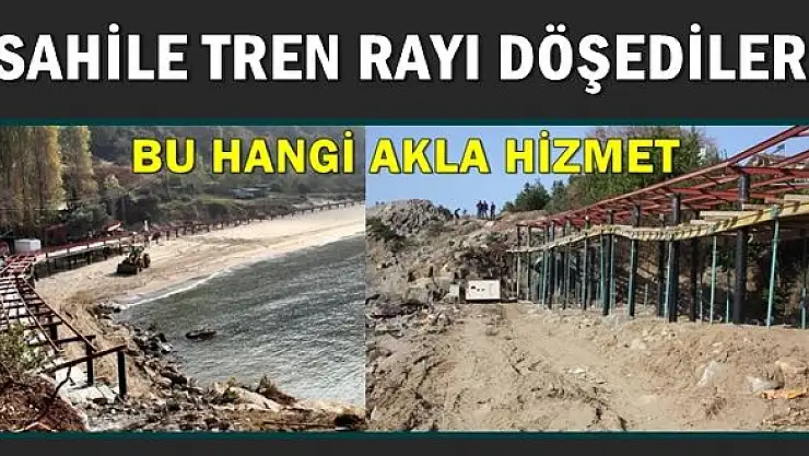Güzelcehisar'da İskele Krizi, Projeye büyük tepki