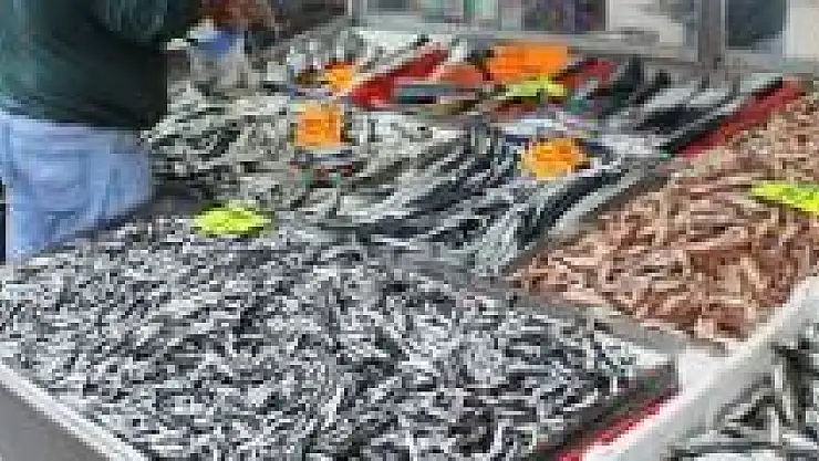 Hamsi azaldı, balıkçılar İstavrite yöneldi