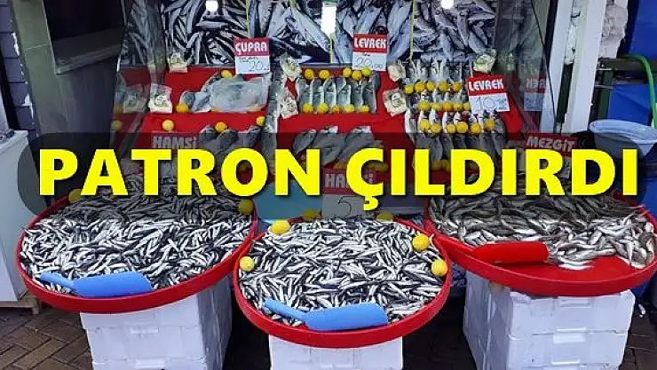 Hamsi bolluğu yaşanıyor