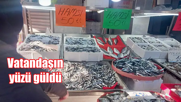 Hamsi Dar Gelirlinin Haline Acıdı!