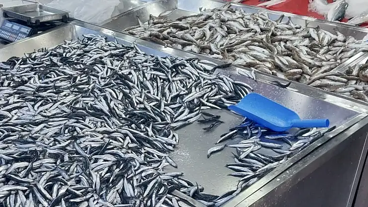 Hamsiye mezgite doyacaksınız