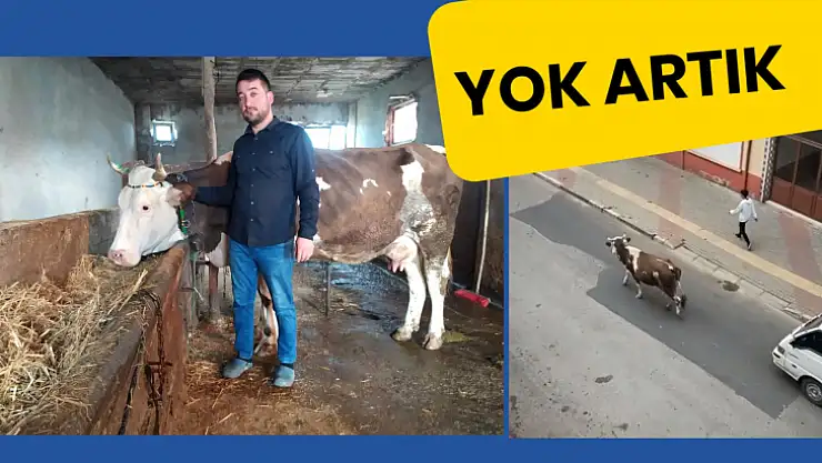 Hangi köyden firar ettiği belli oldu