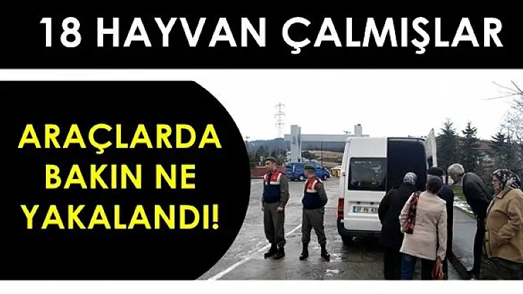 Hayvan hırsızlığında yeni gelişme
