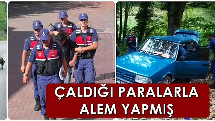 Hırsızlık yaptı, bakın nerede yakalandı?