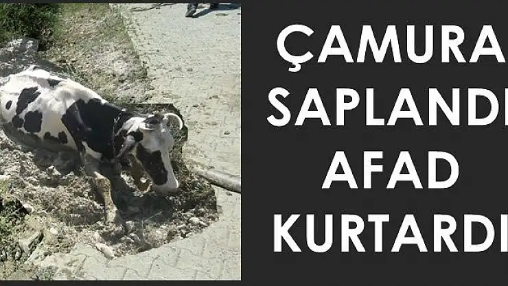 İmdadına AFAD yetişti