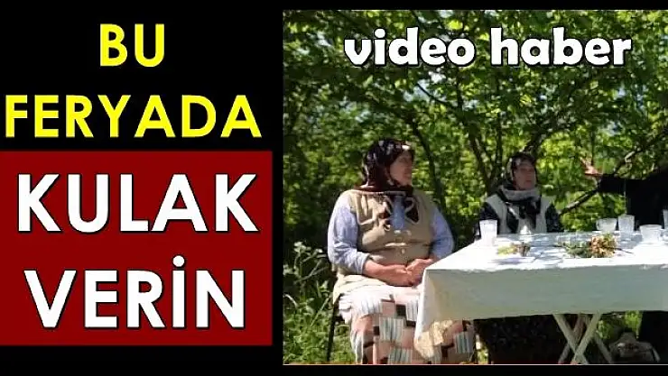 İnsanların feryadına kulak verin