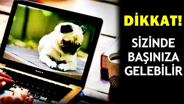 İnternetten laptop ve köpek almak isteyince dolandırıldılar