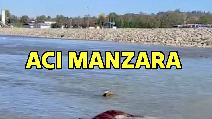 Irmakta acı manzara!