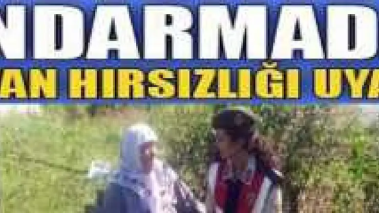 JANDARMA, HAYVAN HIRSIZLIĞINA DİKKAT ÇEKTİ