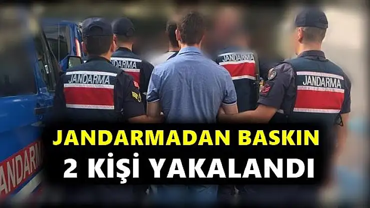 Jandarma ihbar üzerine baskın yaptı