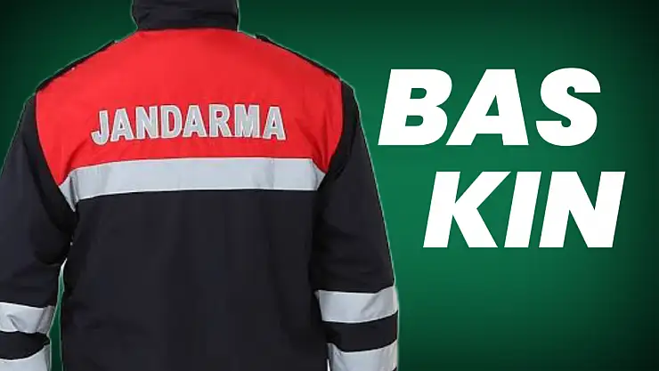 Jandarmadan adrese baskın