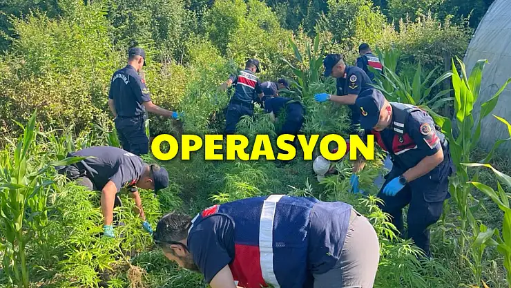 Jandarmadan bahçeye operasyon