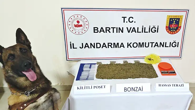 Jandarmadan köyde arama
