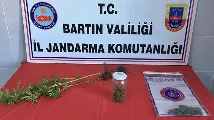 Jandarmadan narkotik operasyon
