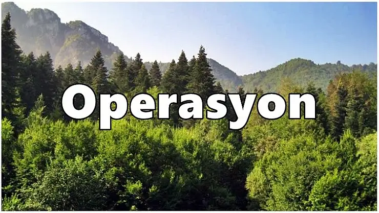 Jandarmadan o köyde operasyon