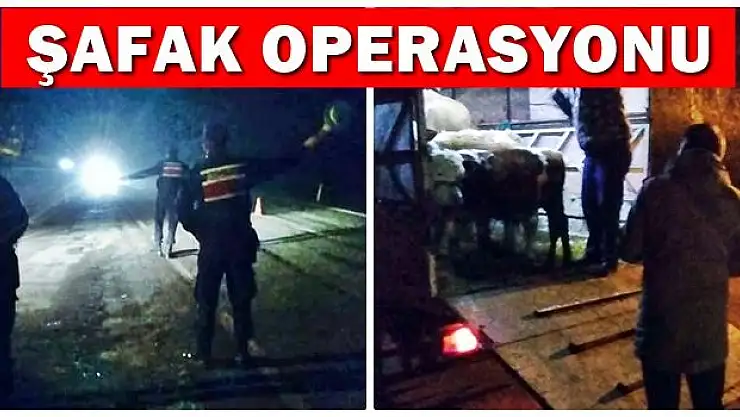 Jandarmadan şafak operasyonu