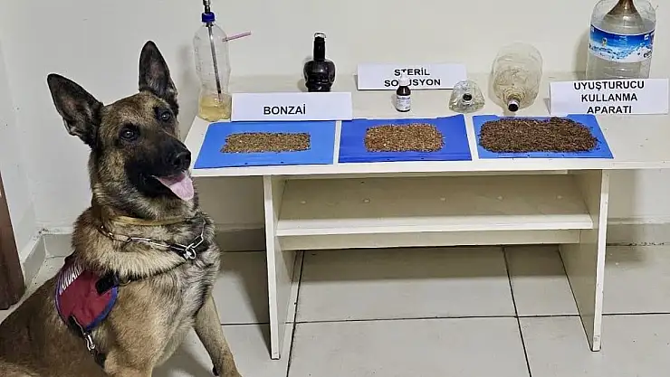 Jandarmadan zehir tacirlerine darbe