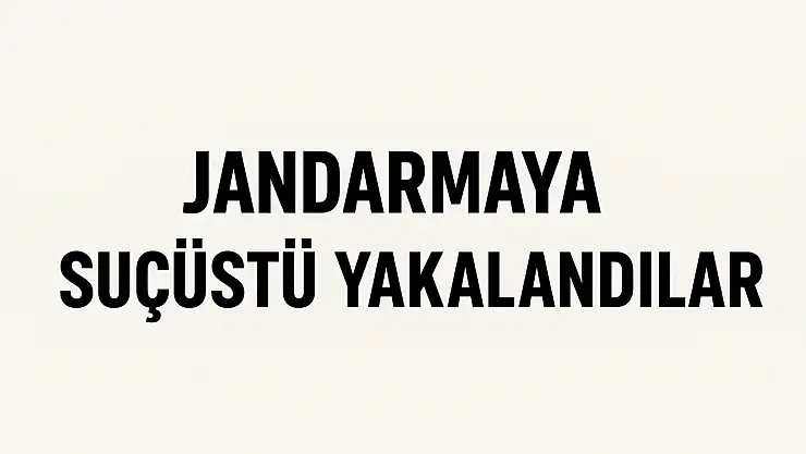 Jandarmaya suçüstü yakalandılar
