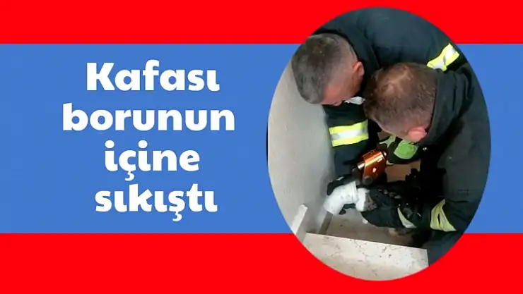 Kafası borunun içine sıkıştı