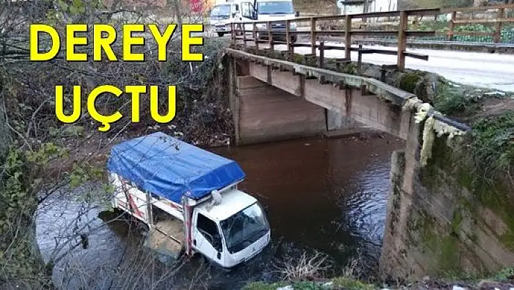 Kamyonet dereye uçtu