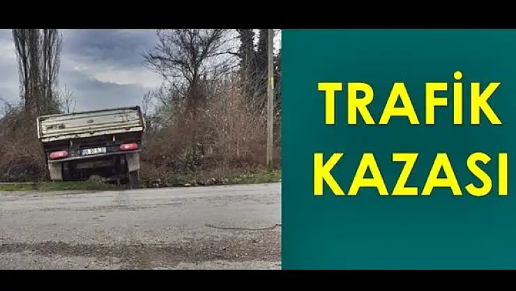 Kamyonet şarampole devrildi